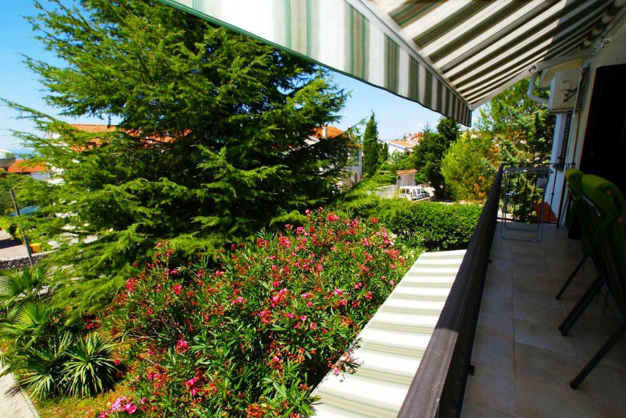 Apartment Olive Groove *
