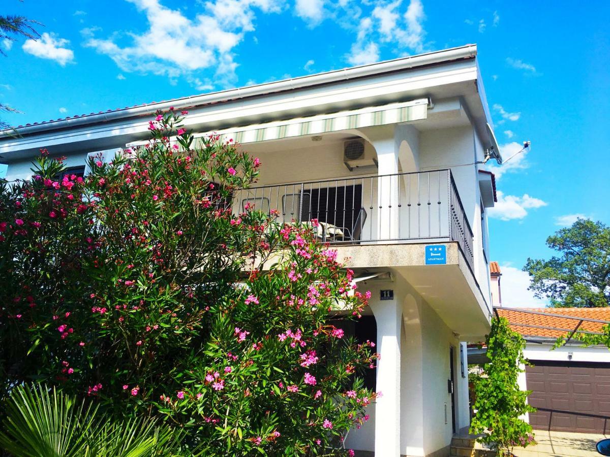 Olive Groove Apartment